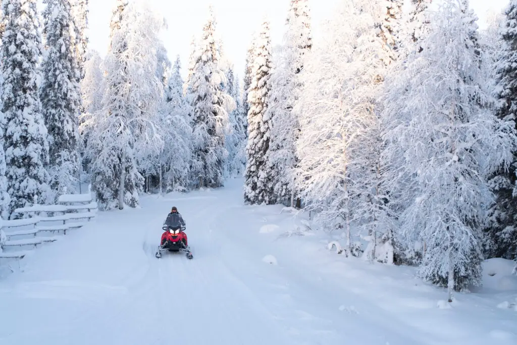 Tourist riding a snowmobile on a snowy forest trail in Finnish Lapland during a scenic winter tour.