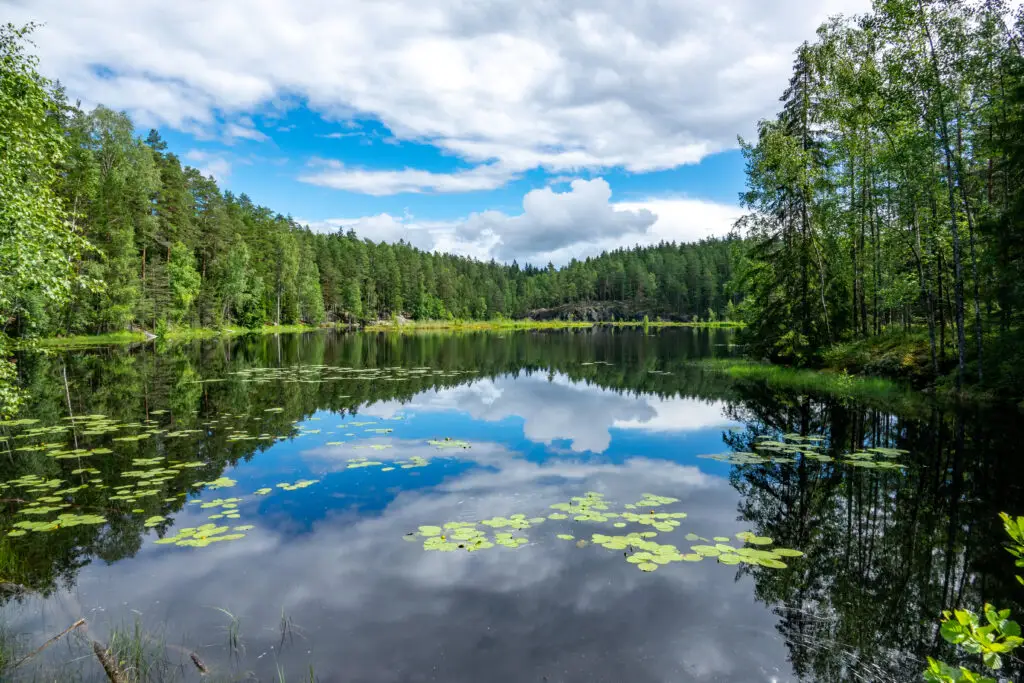 Scenic view of a tranquil lake with water lilies and lush green forest at Nuuksio National Park in Espoo, Finland, reflecting a clear blue sky with clouds.