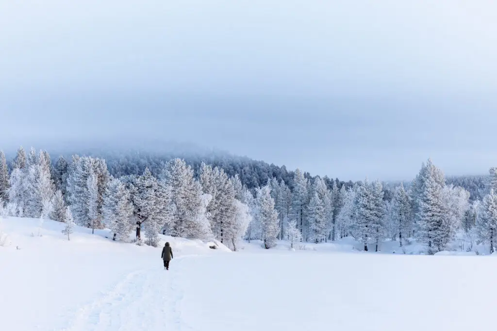 Person walking through a snowy winter landscape with frost-covered trees at Lake Inari, Lapland, Finland