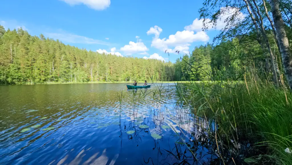 Scenic summer view of Haukkalampi pond in Nuuksio National Park, Espoo, Finland, featuring serene water and lush green forest with a person canoeing.